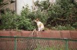 img527_1