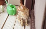 img458_1