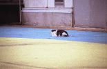 img539