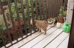 img459_1