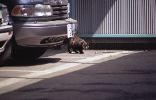img576