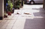img578