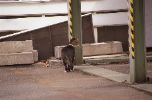 img583