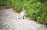img586