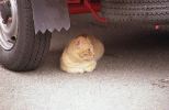 img587
