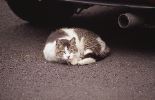 img597