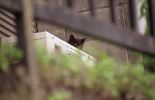 img557