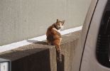 img651
