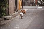 img653