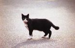 img656