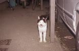 img743