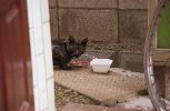 img748