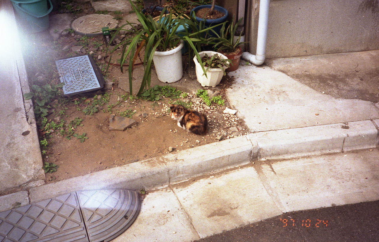 img764