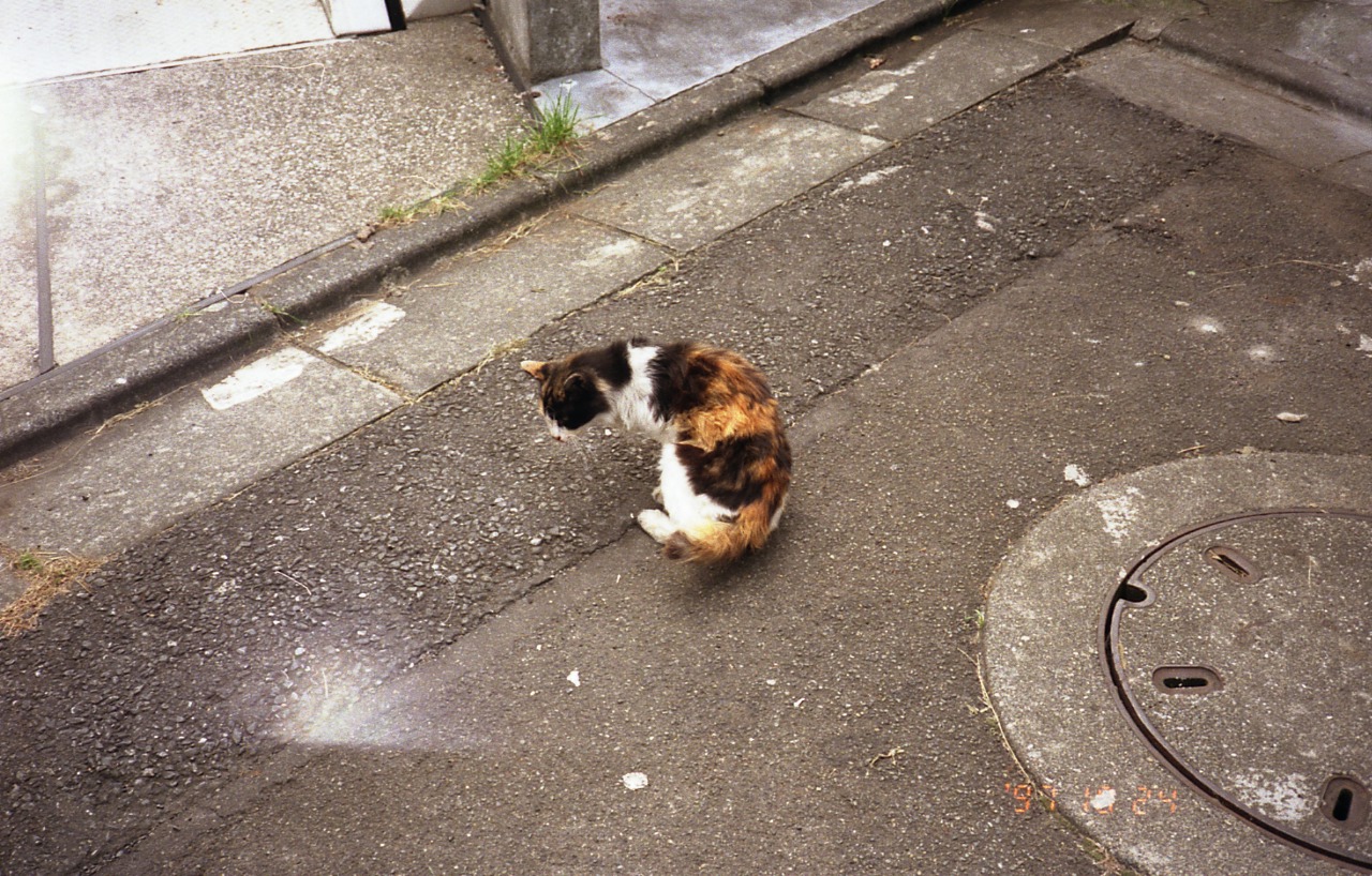img765