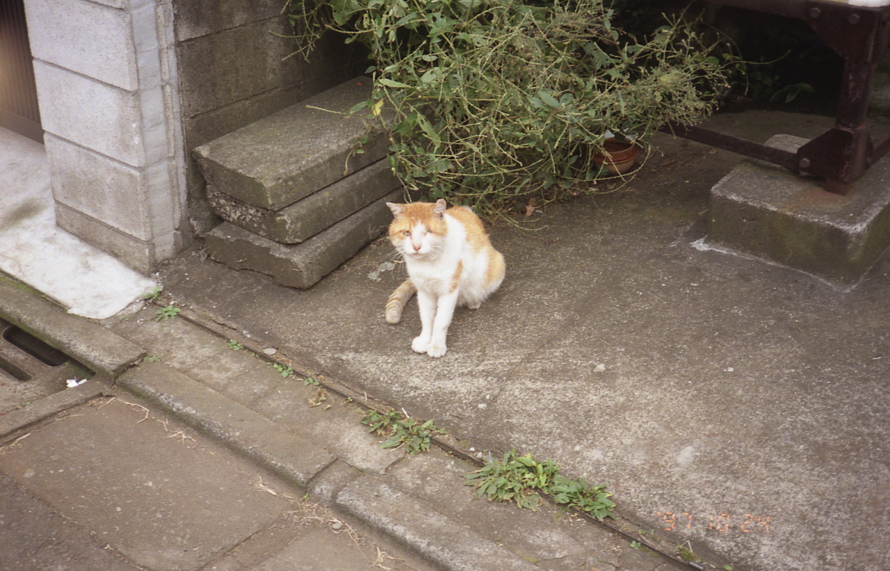 img767