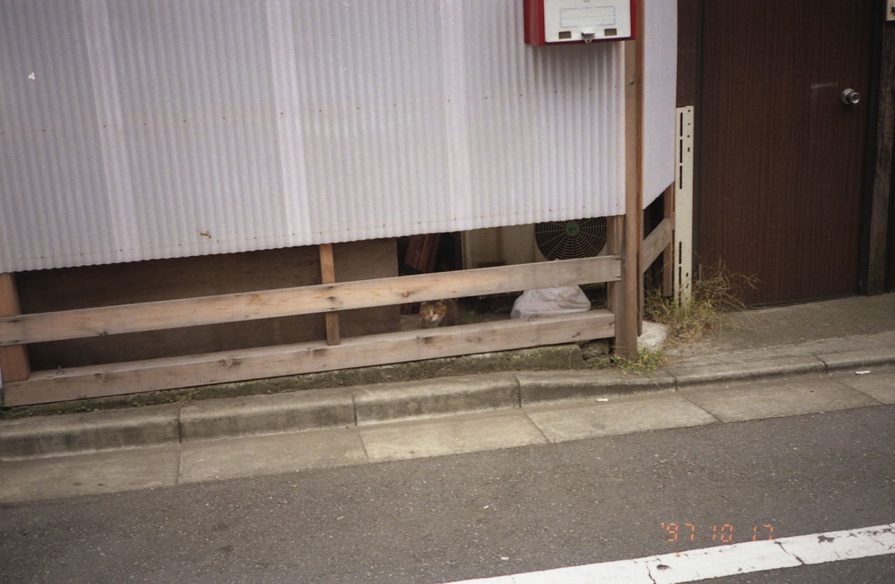 img771