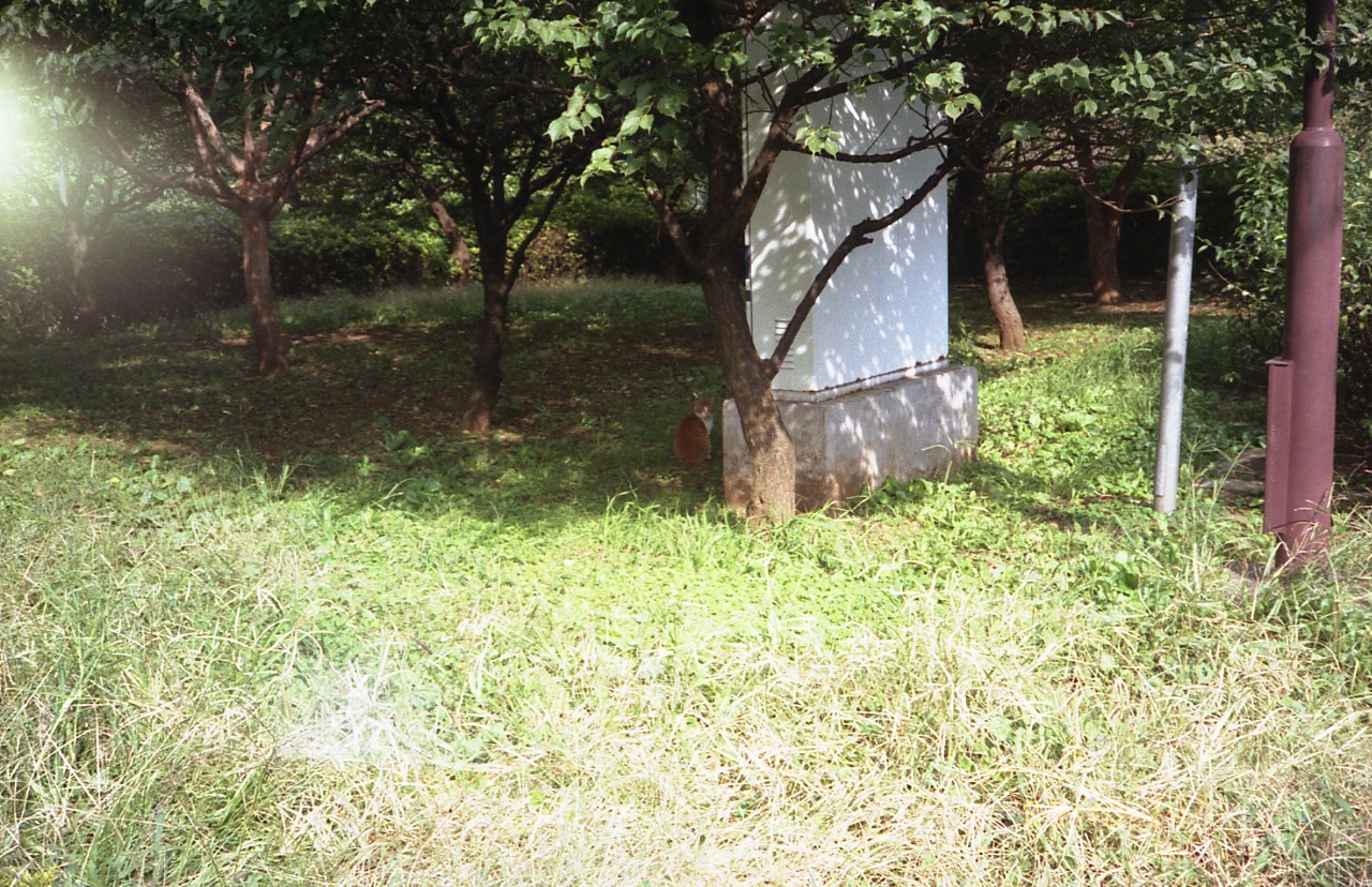 img774