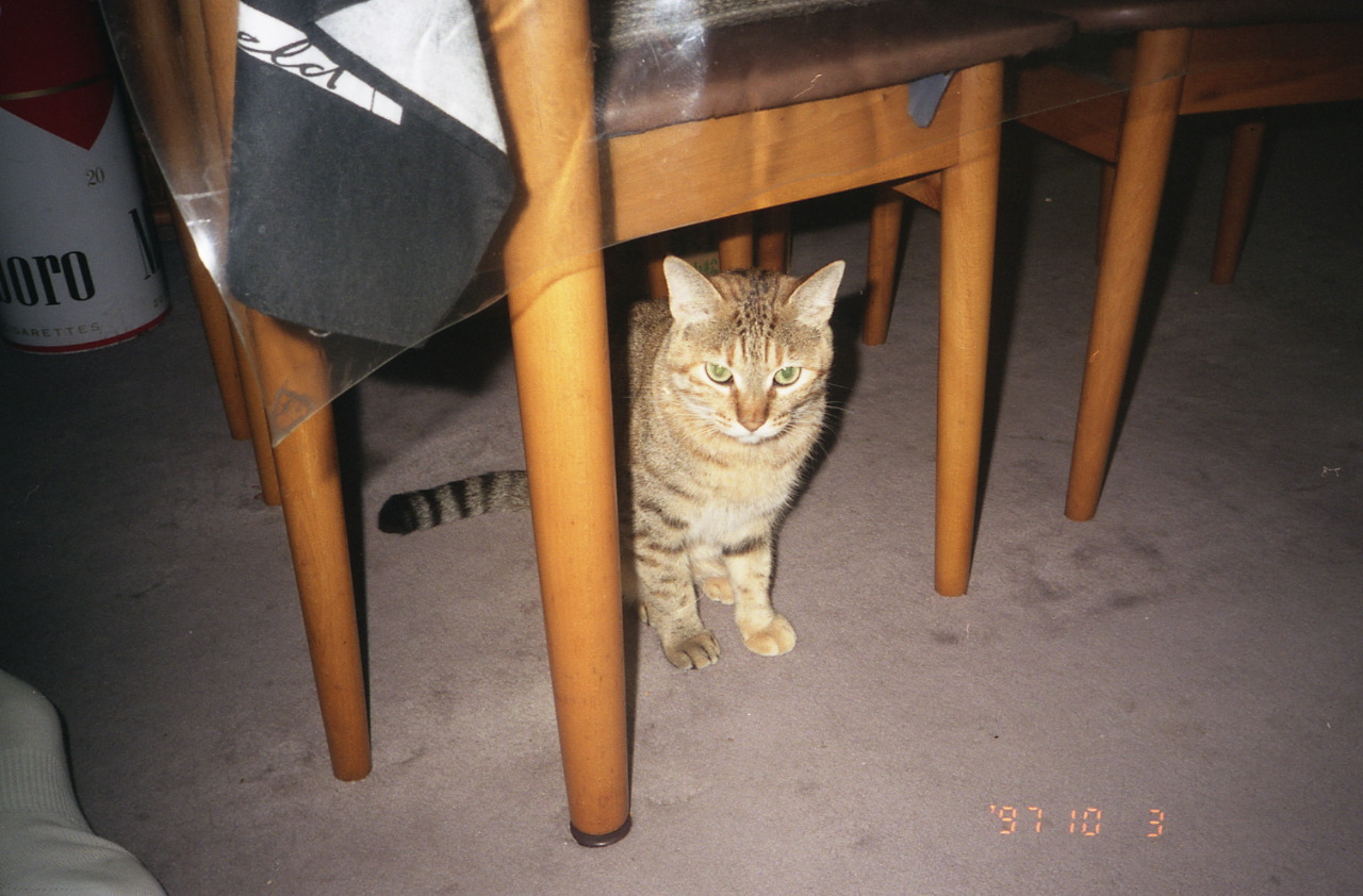 img786