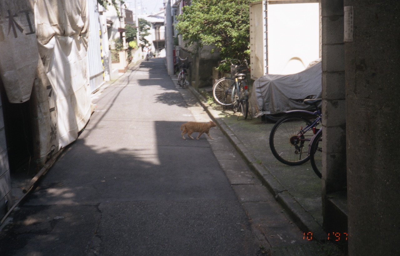img790