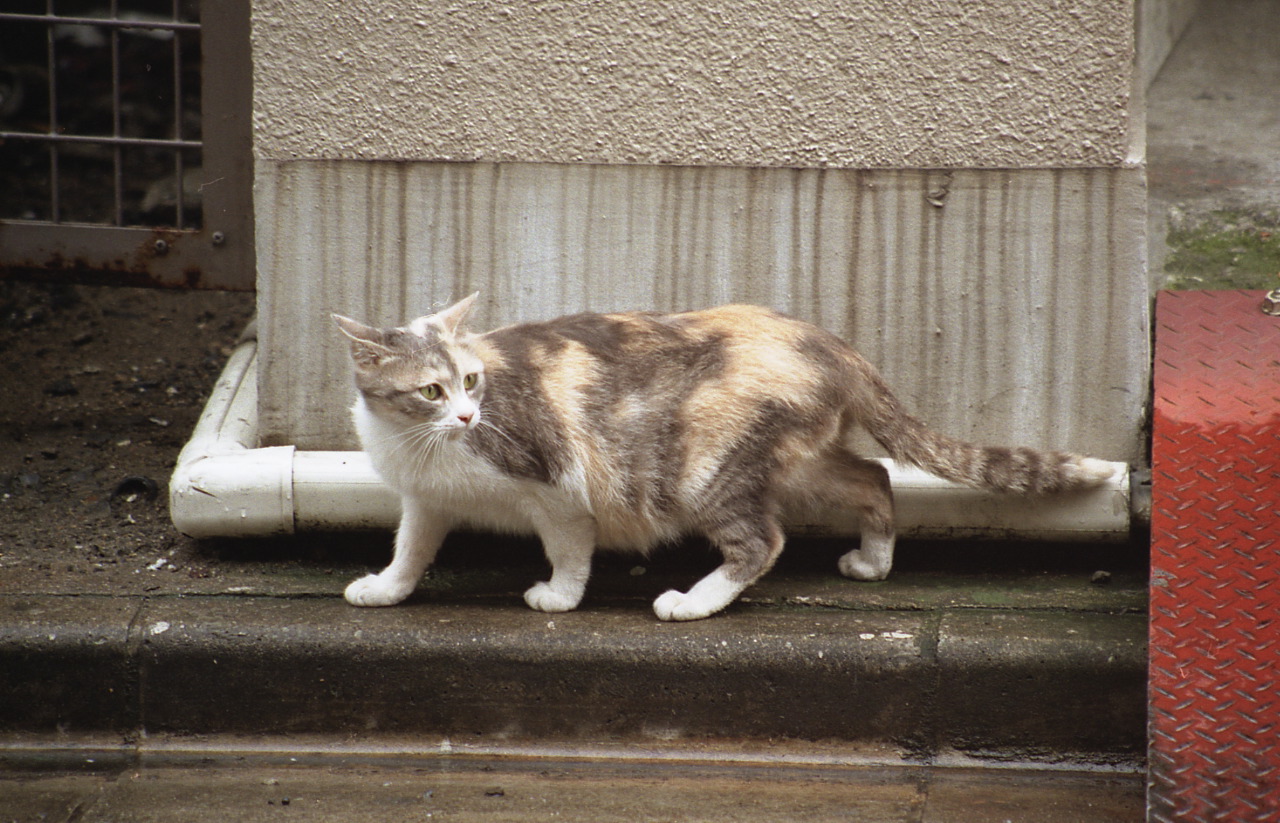 img759