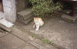img767