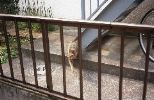 img768