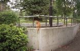 img773
