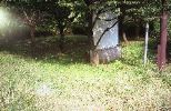 img774