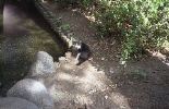 img775