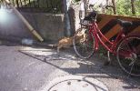 img791