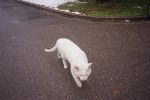 img839