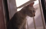 img846