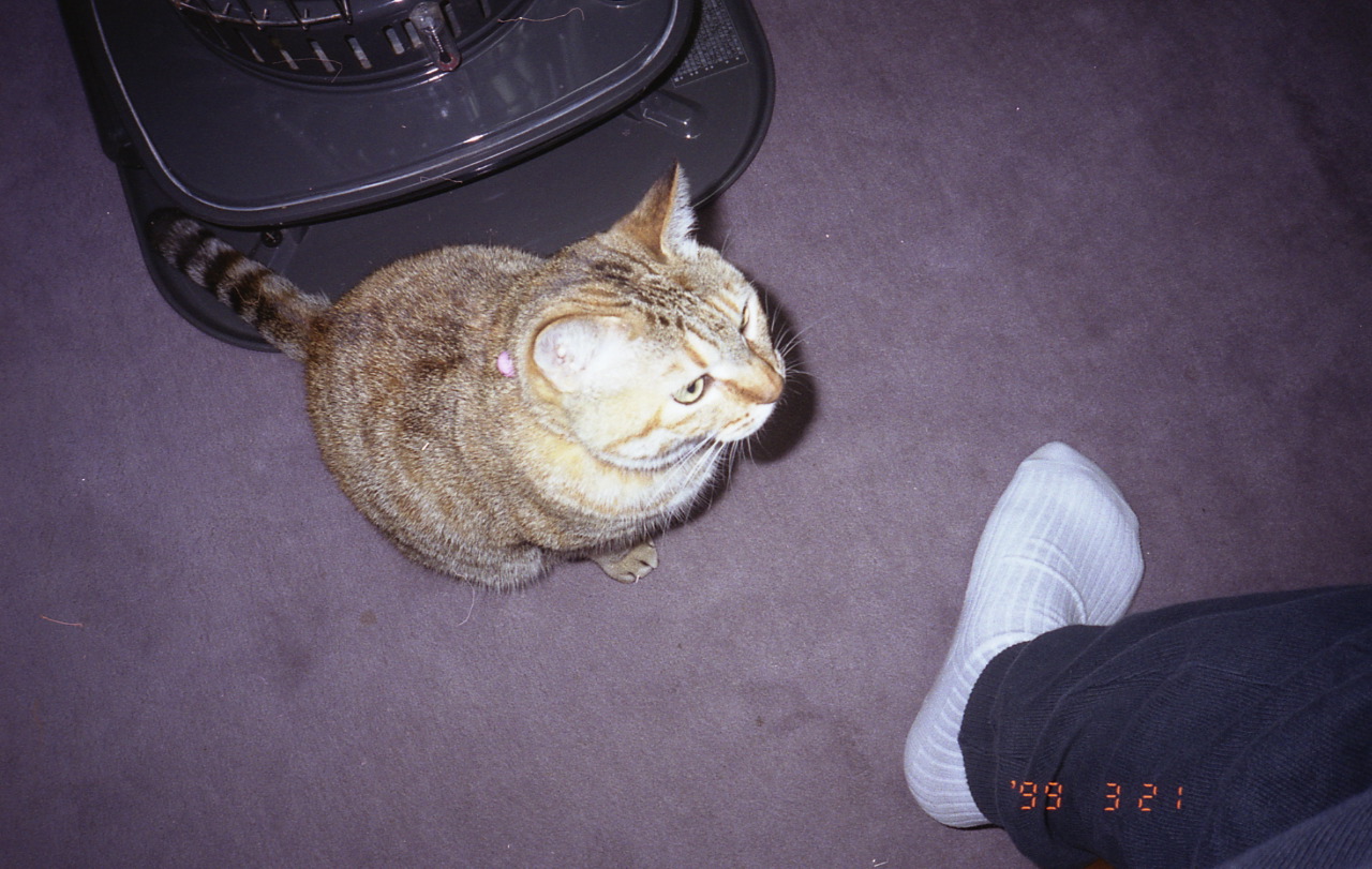 img897
