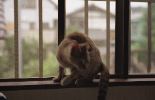 img854