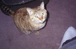 img898