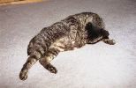 img933