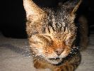 IMG_0848