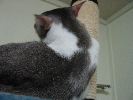 IMG_0854