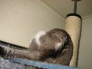 IMG_0857