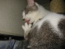 IMG_0859
