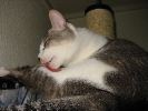 IMG_0862