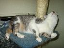 IMG_0876