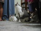 IMG_0889