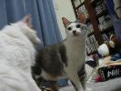IMG_0904