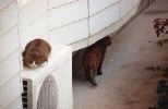 img1004
