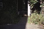 img1024