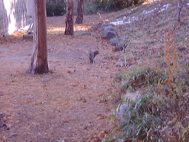DSC00017_2