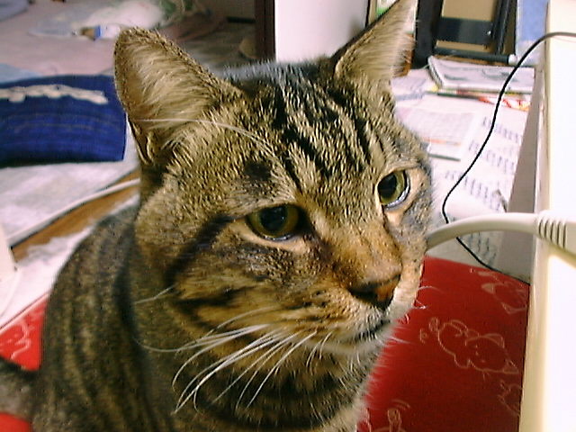 DSC00043_4