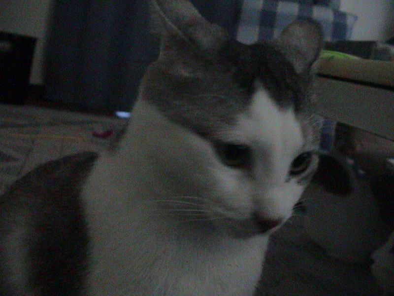 DSC00007_1