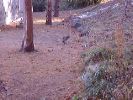 DSC00017_2